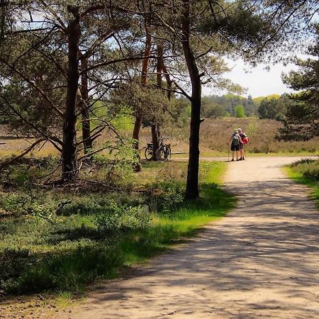 Vakantiehuis In Een Prachtige Bosrijke Omgeving In Twente! Bornerbroek エクステリア 写真