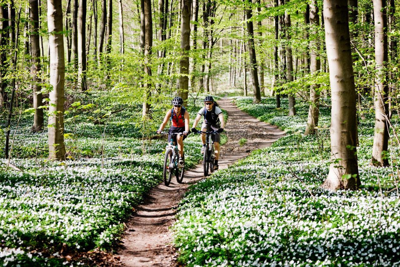 Vakantiehuis In Een Prachtige Bosrijke Omgeving In Twente! Bornerbroek エクステリア 写真