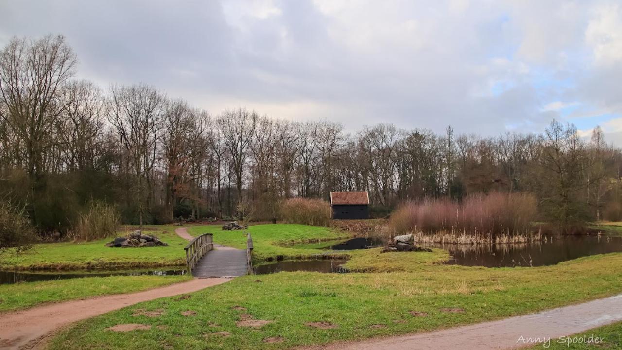 Vakantiehuis In Een Prachtige Bosrijke Omgeving In Twente! Bornerbroek エクステリア 写真