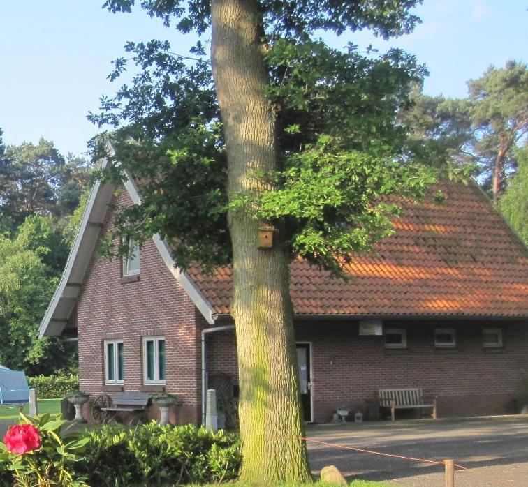 Vakantiehuis In Een Prachtige Bosrijke Omgeving In Twente! Bornerbroek エクステリア 写真